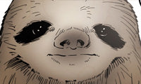Secret Zoo